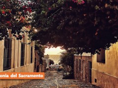 Feriadão 7 setembro Uruguai - Montevideo - Punta del Este - Piriápolis - Colônia Sacramento - Chui